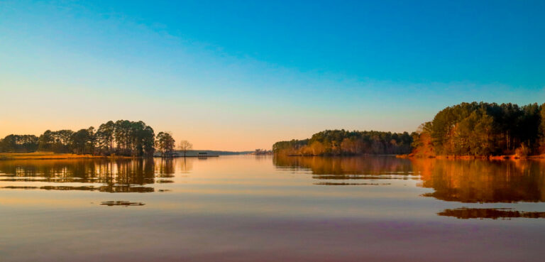 Living from the Field